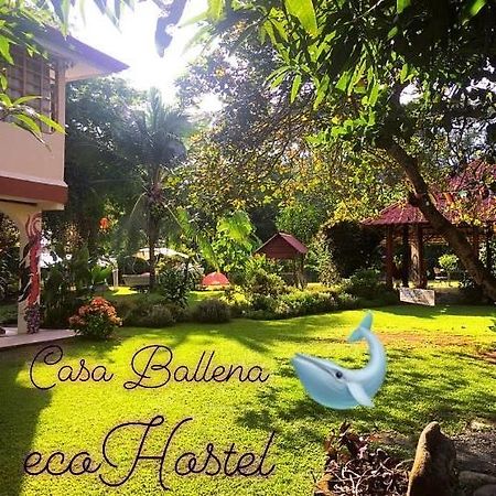Casa Ballena Eco Hostel Uvita Exteriér fotografie
