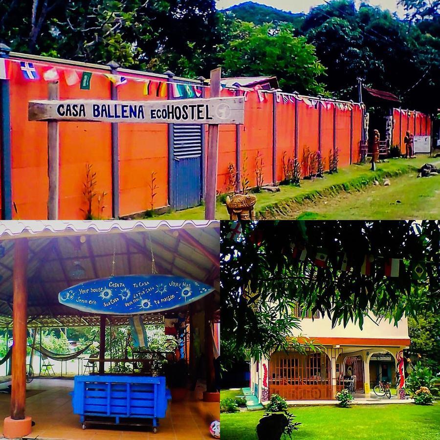 Casa Ballena Eco Hostel Uvita Exteriér fotografie