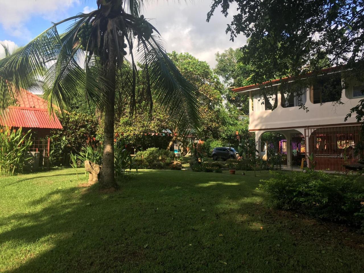 Casa Ballena Eco Hostel Uvita Exteriér fotografie