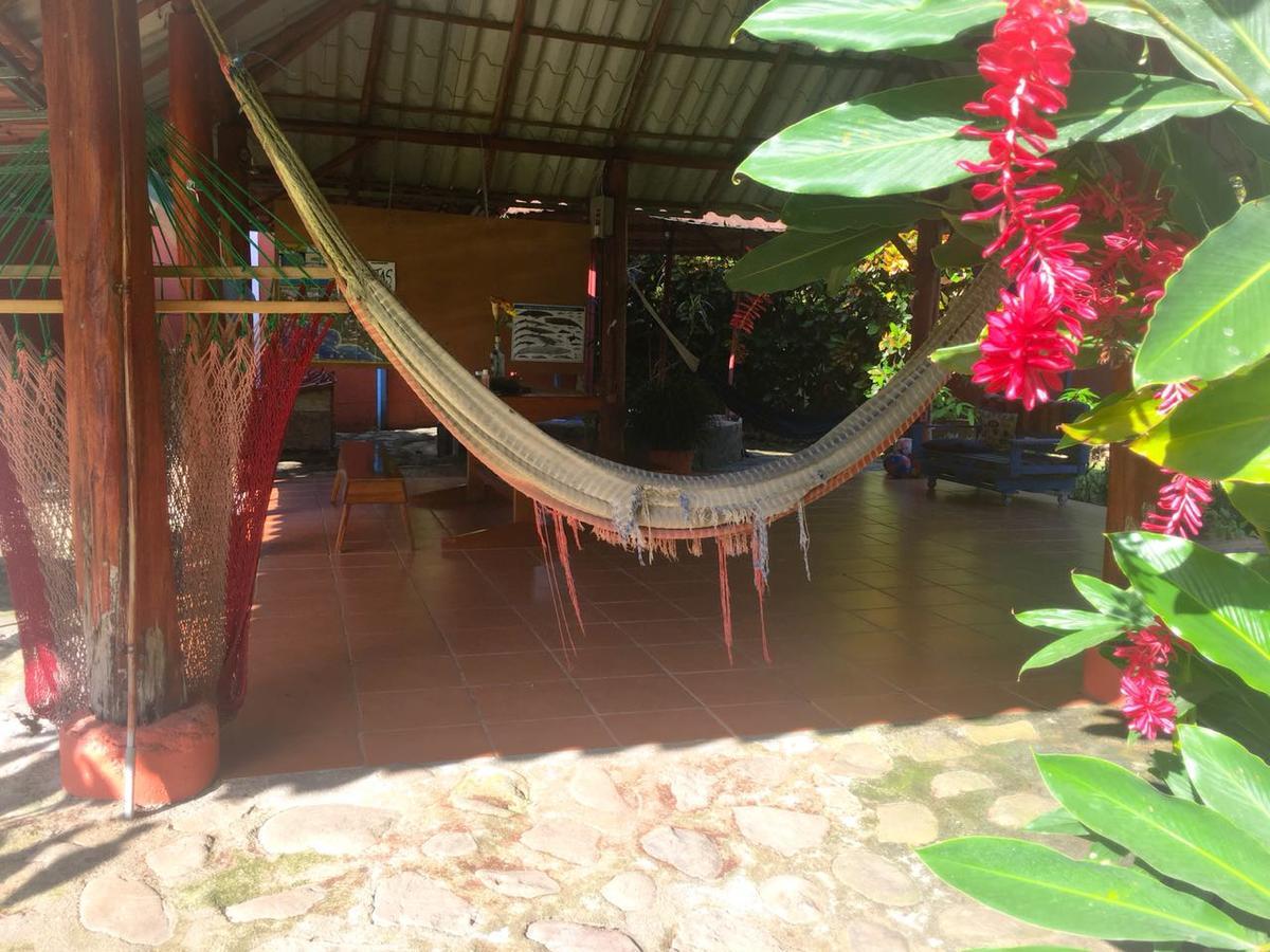 Casa Ballena Eco Hostel Uvita Exteriér fotografie