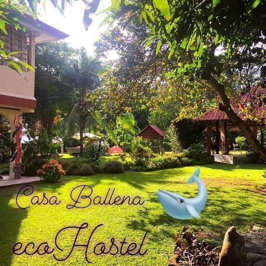 Casa Ballena Eco Hostel Uvita Exteriér fotografie
