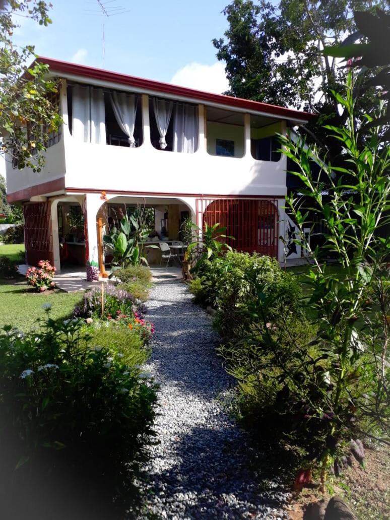 Casa Ballena Eco Hostel Uvita Exteriér fotografie